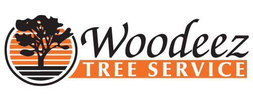 Woodeez official logo in full color