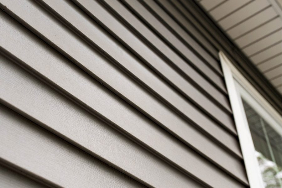 Brown house siding. A white window frame is visible.