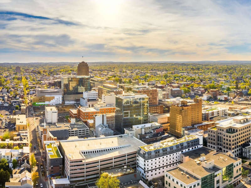 Cityscape with modern buildings and greenery. Aerial view.