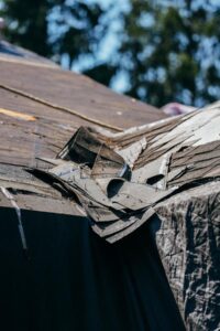 A close-up view of broken wooden roof shingles on a derelict building, set against a backdrop of green trees and blue sky.