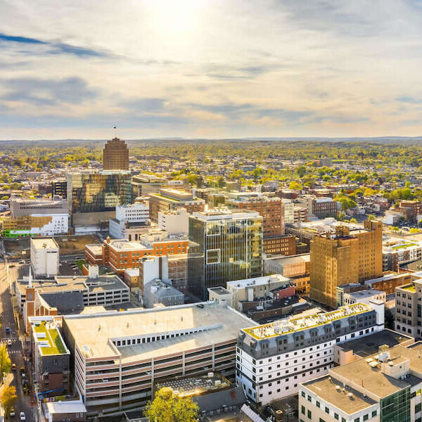 Cityscape with modern buildings and greenery. Aerial view.